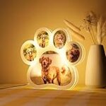 Top 5 des crèmes efficaces pour traiter les hot spots chez le chien : Photos à l'appui !