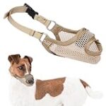 Guide d'achat : Comparatif des meilleurs produits pour les caniches nains en fonction de leur taille