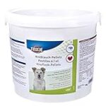 Les bienfaits de l'ail pour votre chien : Comparaison des meilleurs produits pour animaux de compagnie