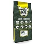 Les produits essentiels recommandés par un vétérinaire à Pont Audemer pour prendre soin de votre animal de compagnie Les produits essentiels recommandés par un vétérinaire à Pont Audemer pour prendre soin de votre animal de compagnie