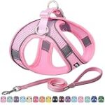 Les Meilleurs Produits pour la Marche en Laisse avec un Chiot: Analyse et Comparaison