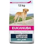 Les Meilleures Croquettes pour Labrador : Analyse et Comparaison des Produits pour Animaux de Compagnie