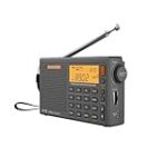 Comparaison des meilleures radios pour bassin chat : quel produit choisir pour divertir votre compagnon félin ?