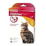 Omoplate chat : Guide complet pour choisir le meilleur produit pour soulager les douleurs articulaires de votre compagnon félin