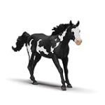 Comparaison des produits pour animaux de compagnie : les meilleures peintures pour chevaux