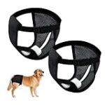Durée des chaleurs chez la chienne : tout ce que vous devez savoir pour choisir les meilleurs produits pour votre animal de compagnie