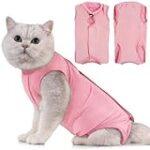 Analyse et comparaison des meilleurs produits pour animaux de compagnie : Peut un chat mâle stérilisé avoir des chaleurs ? Analyse et comparaison des meilleurs produits pour animaux de compagnie : Peut un chat mâle stérilisé avoir des chaleurs ?