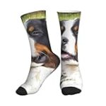 Comparaison des meilleurs produits pour bouvier bernois en fonction de leur poids