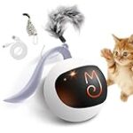 Comparatif des meilleurs jouets DIY pour chatons : divertir votre petit compagnon à quatre pattes !