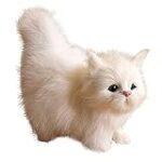 Les meilleurs produits pour chat Ragdoll blanc : analyse et comparaison