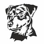 Les Meilleurs Produits pour Animaux de Compagnie pour Jagd Terrier Chocolat Poil Dur: Analyse et Comparaison
