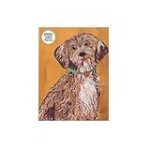 Guide d'achat Cockapoo en France : Prix, conseils et comparaison des meilleurs produits pour votre animal de compagnie