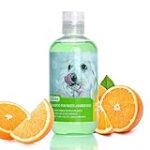 Comparatif des meilleurs produits désinfectants à base de javel pour chiens : quelle option choisir ?