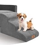 À quelle âge un chien marche-t-il au pied : Comparaison des meilleurs produits pour aider votre animal de compagnie