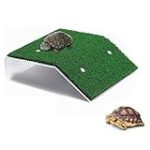 Les Meilleurs Produits pour Tortue d'Eau de Mer: Analyse et Comparaison Les Meilleurs Produits pour Tortue d'Eau de Mer: Analyse et Comparaison