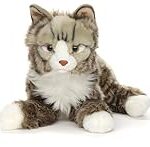 Comparatif des meilleurs produits pour chat Norvégien en fonction de sa taille et de son poids