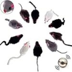 Les Meilleurs Produits pour Animaux de Compagnie : Comparaison des Races de Chat Noir