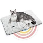 Comparatif des meilleurs paniers chauffants pour chat : le confort ultime pour votre félin préféré