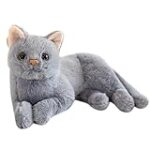 Analyse des meilleurs produits pour animaux de compagnie pour siamois blanc : Le guide ultime