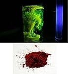 Comparatif des prix des poissons fluorescents pour animaux de compagnie : trouver le meilleur rapport qualité-prix