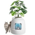 Comparatif des meilleures litières végétales pour animaux de compagnie: Guide d'achat complet