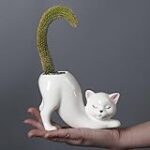 Les meilleurs produits pour chats sans queue : comparaison et analyse des options disponibles