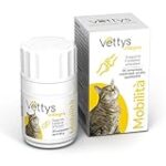 Les bienfaits des chats en Islam : Analyse et comparaison des meilleurs produits pour nos fidèles compagnons félins