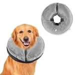 Découvrez la meilleure collerette chien confortable : Analyse et comparaison des produits pour animaux de compagnie