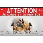 Les meilleurs produits pour animaux de compagnie pour votre Malinois nain : comparatif complet