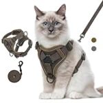 À quel âge un chat doit-il porter un harnais ? Guide complet d'analyse et de comparaison des meilleurs produits pour animaux de compagnie.