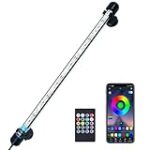 Guide d'achat : Les meilleurs produits pour les néons tétras pour animaux de compagnie Guide d'achat : Les meilleurs produits pour les néons tétras pour animaux de compagnie