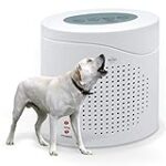 La signification spirituelle du chien qui aboie la nuit : analyse et comparaison des meilleurs produits pour animaux de compagnie