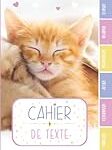 Texte chat: Les meilleurs produits pour chouchouter votre félin préféré Texte chat: Les meilleurs produits pour chouchouter votre félin préféré