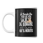 Comparatif des meilleurs produits pour les croisements de Sacré de Birmanie et d'Européen