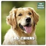 Comparaison des meilleurs produits animaliers pour chouchouter vos animaux de compagnie