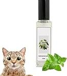 Service d'euthanasie à domicile pour chat : Analyse et comparaison des meilleures options pour accompagner votre animal de compagnie