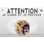 Les Meilleurs Produits pour Animaux de Compagnie pour le Petit Chien du Tibet