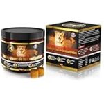 Top 5 des laxatifs naturels pour chiens : comparaison et analyse des meilleurs produits pour votre animal de compagnie