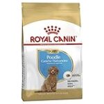 Les Meilleurs Produits pour Caniche Nain à Adopter au SPA: Analyse et Comparaison