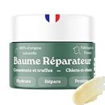 Les Meilleurs Traitements pour les Plaies de Coussinets chez le Chien : Analyse et Comparaison des Produits Adaptés