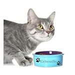 Les Meilleurs Produits pour Animaux de Compagnie pour un Prénom de Chat Espagnol