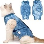 Photo de chat : comment distinguer un mâle d'une femelle et quel impact sur le choix des produits pour animaux de compagnie
