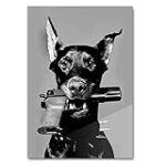 Comparatif des Meilleurs Produits pour Doberman Noir et Feu: Guide d'Achat Complet