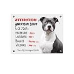 Les Meilleurs Produits pour Mettre en Valeur la Musculature de votre American Staff