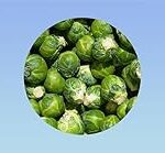 Les meilleurs produits pour animaux de compagnie : Tout ce que vous devez savoir sur le chou de Bruxelles pour votre chien Les meilleurs produits pour animaux de compagnie : Tout ce que vous devez savoir sur le chou de Bruxelles pour votre chien