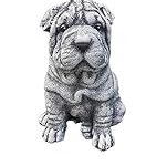 Guide d'achat pour Sharpei noir : Comparaison des meilleurs produits pour animaux de compagnie