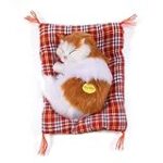 Les meilleures solutions pour un chat qui marque son territoire dans la maison : Analyse et comparaison des produits pour animaux de compagnie