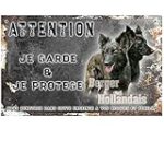 Les Meilleurs Produits pour Berger Hollandais à Poil Long: Comparaison et Analyse approfondies