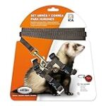 Quel est le coût d'un furet : Analyse et comparaison des meilleurs produits pour animaux de compagnie