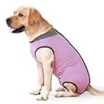 Opération de la rotule chez le chien : Guide d'analyse et comparaison des meilleurs produits pour animaux de compagnie